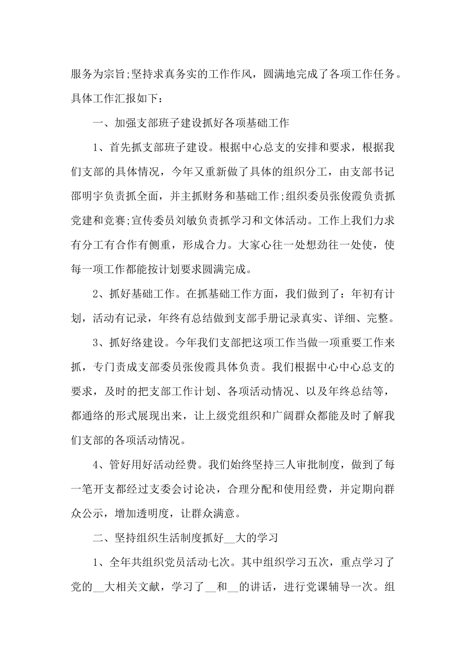 2024年村党支部情况介绍_第2页