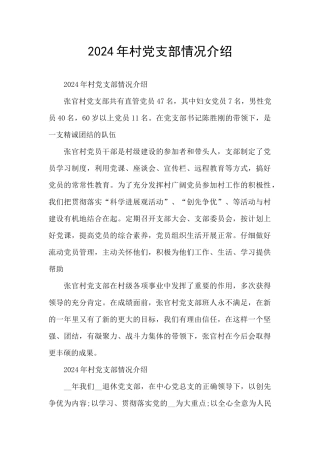 2024年村党支部情况介绍