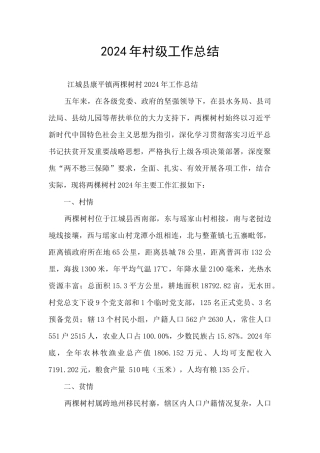 2024年村级工作总结