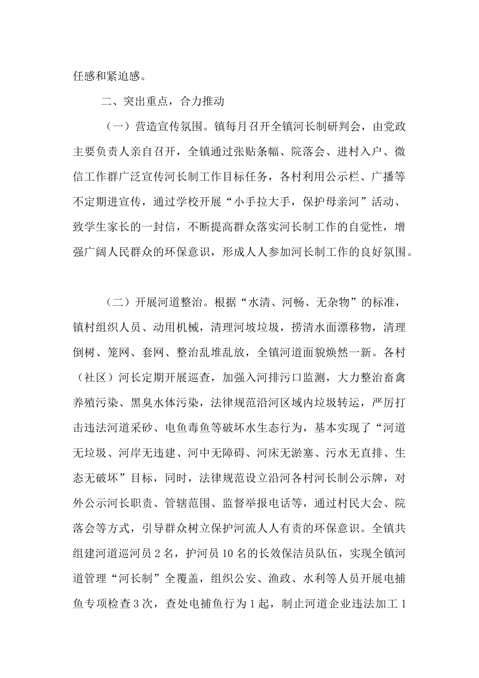 2024年某镇河(湖)长制工作总结_第2页
