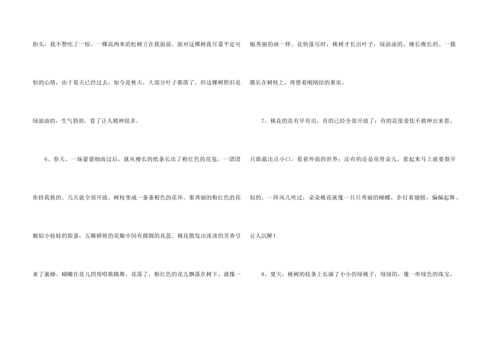 2024年树的优美语句合集48条_第2页