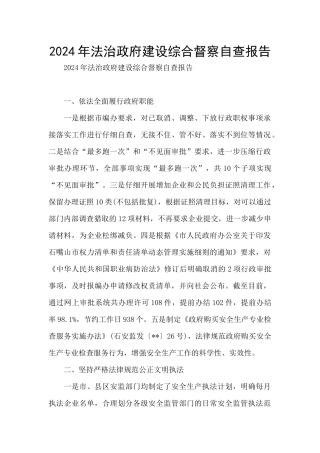 2024年法治政府建设综合督察自查报告
