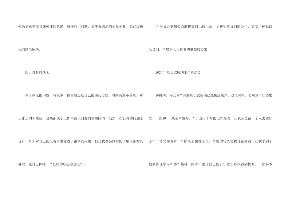 2024年班长试用期工作总结5篇_第3页