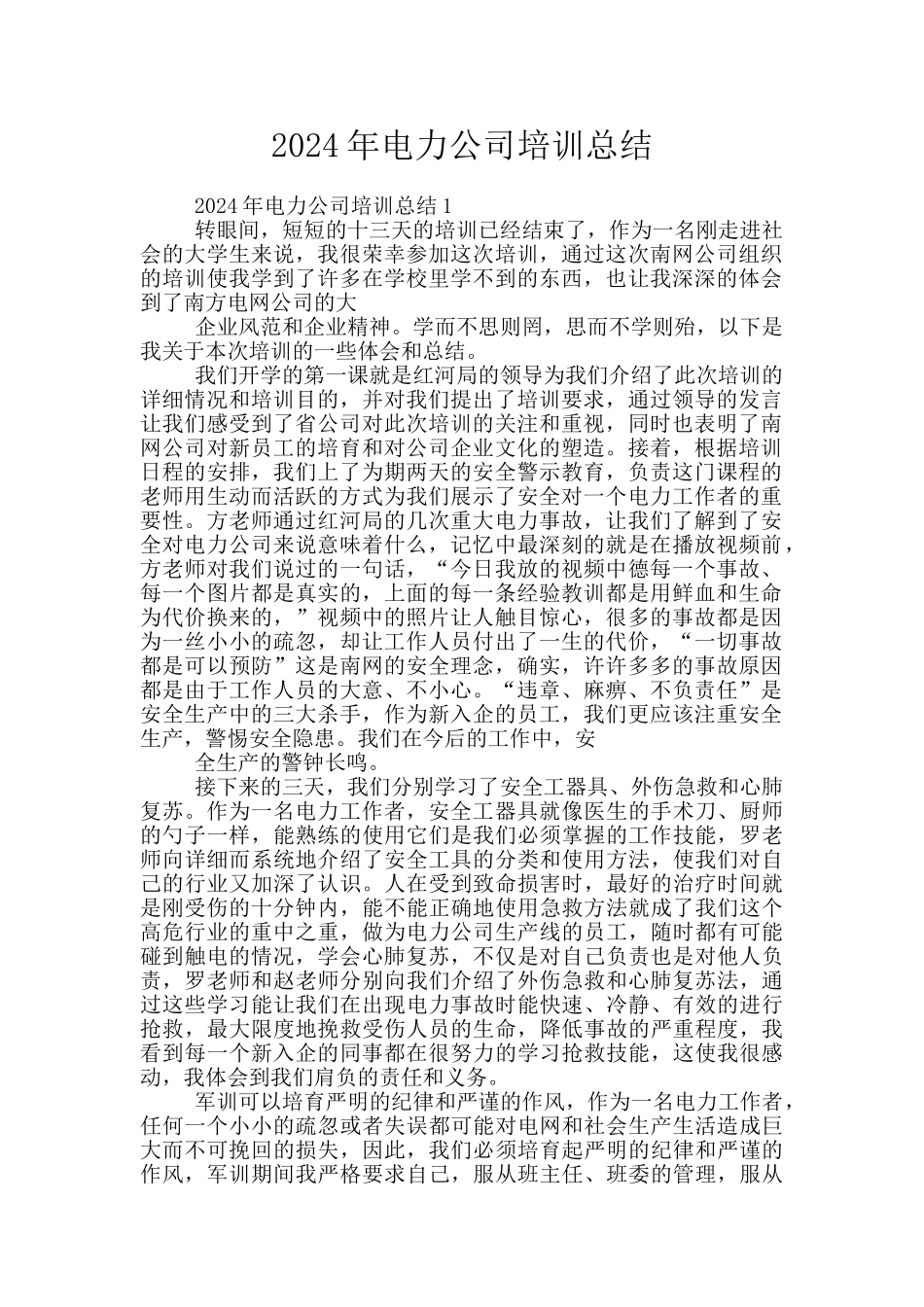 2024年电力公司培训总结_第1页
