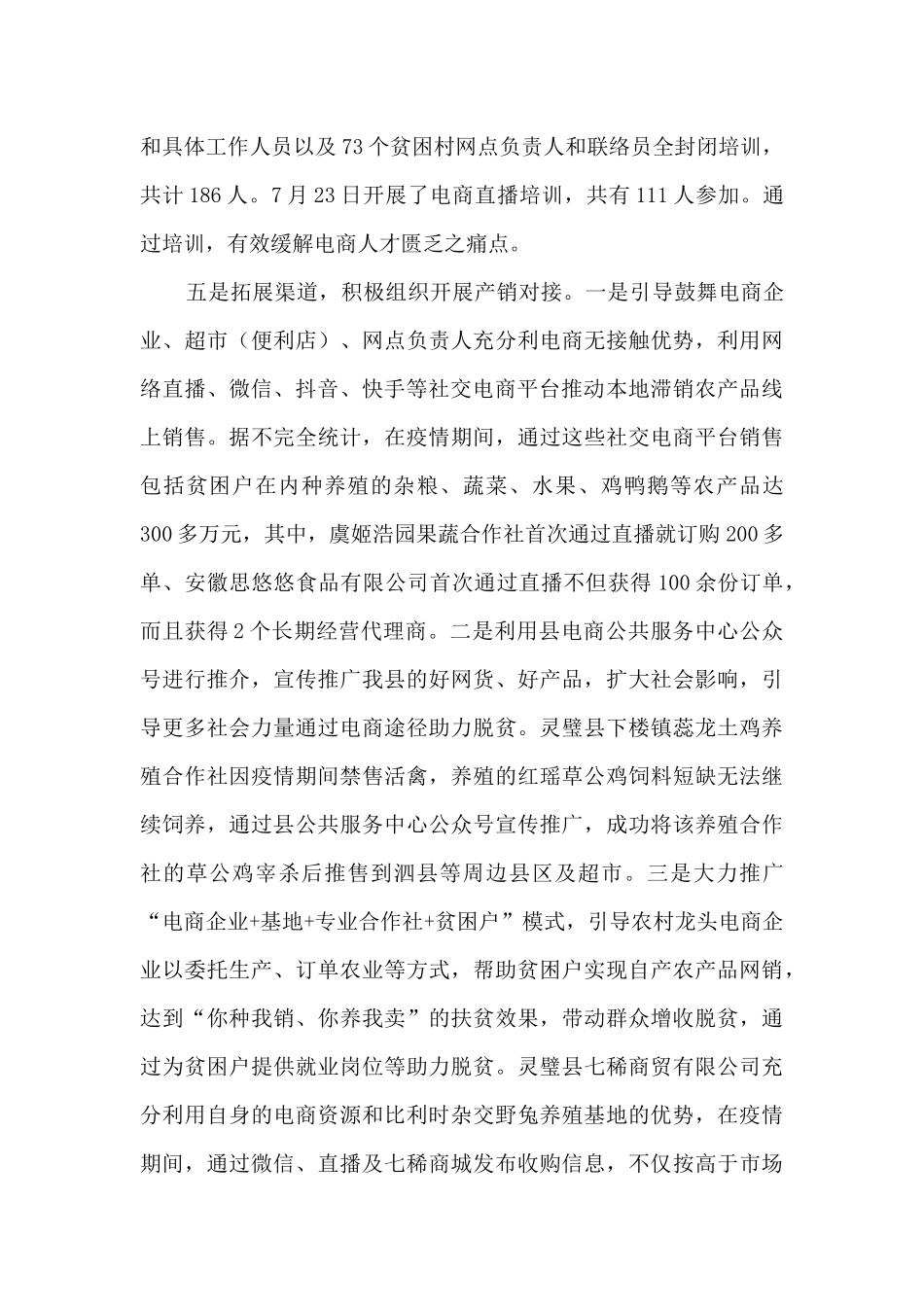 2024年电商扶贫工作总结_第3页
