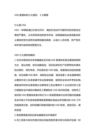 HSE管理体的九大原则、十大要素