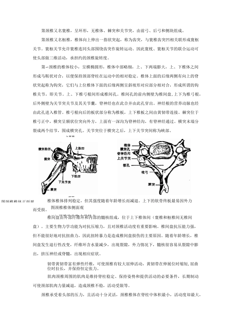 颈椎病康复摘要_第2页