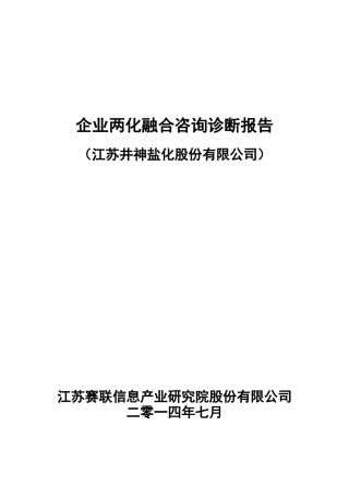 江苏企业单位两化融合咨询诊断报告(井神盐化)