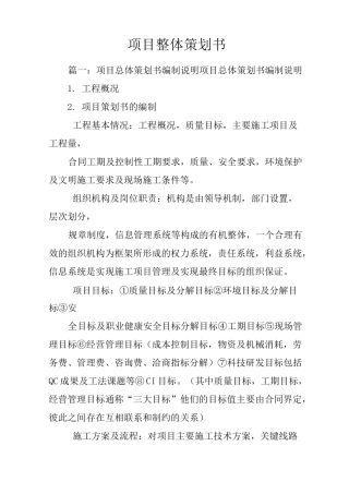 项目整体策划书