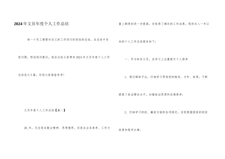 2024年文员年度个人工作总结_第1页