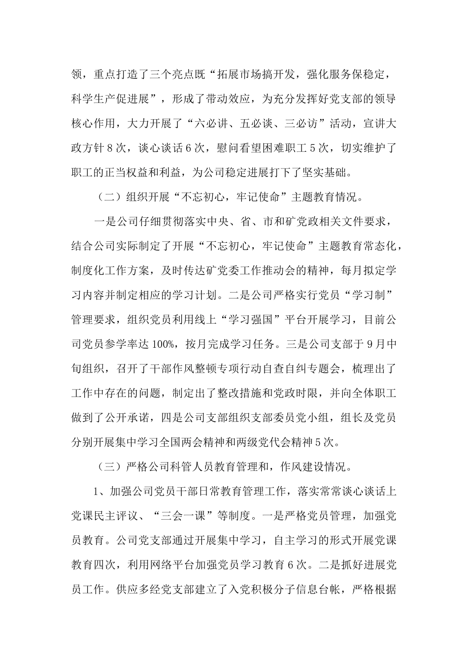 2024年矿党支部书记个人总结述职报告_第2页