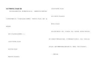 2024年程序员工作总结5篇