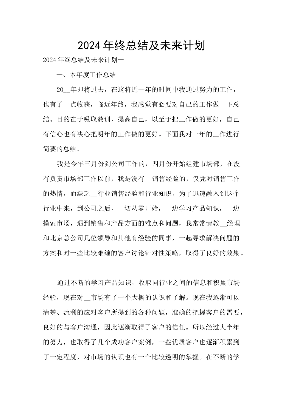 2024年终总结及未来计划_第1页