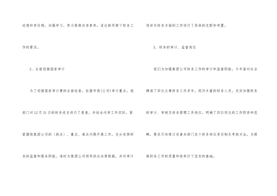 2024年终财务审计工作总结10篇_第3页