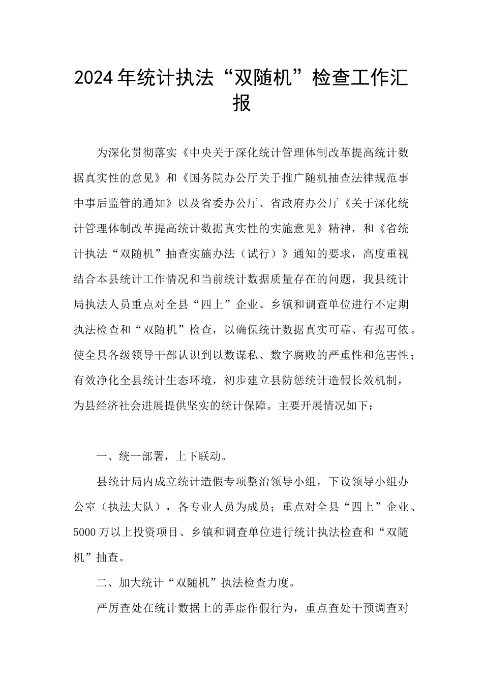 2024年统计执法“双随机”检查工作汇报_第1页