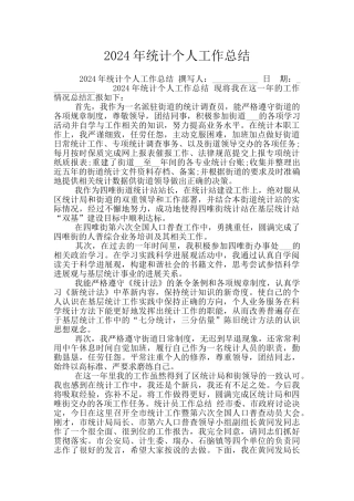 2024年统计个人工作总结