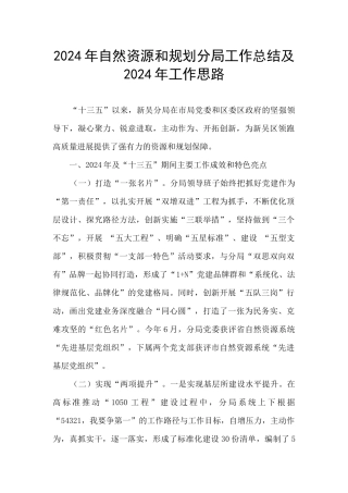2024年自然资源和规划分局工作总结及2024年工作思路
