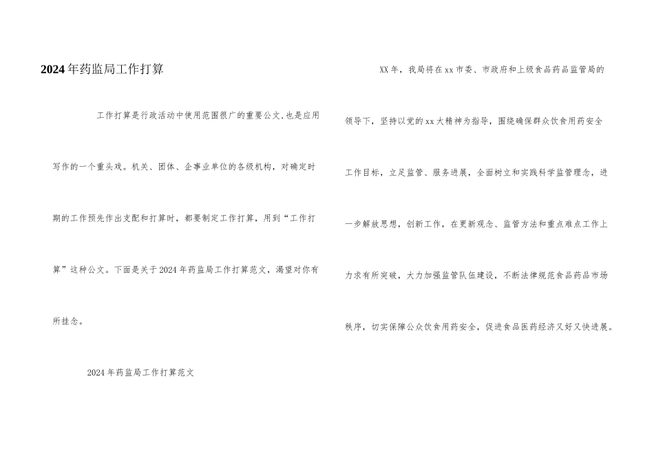 2024年药监局工作计划_第1页