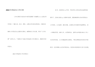 2024年药监局工作计划