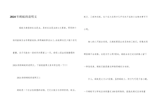 2024年蚂蚁的说明文