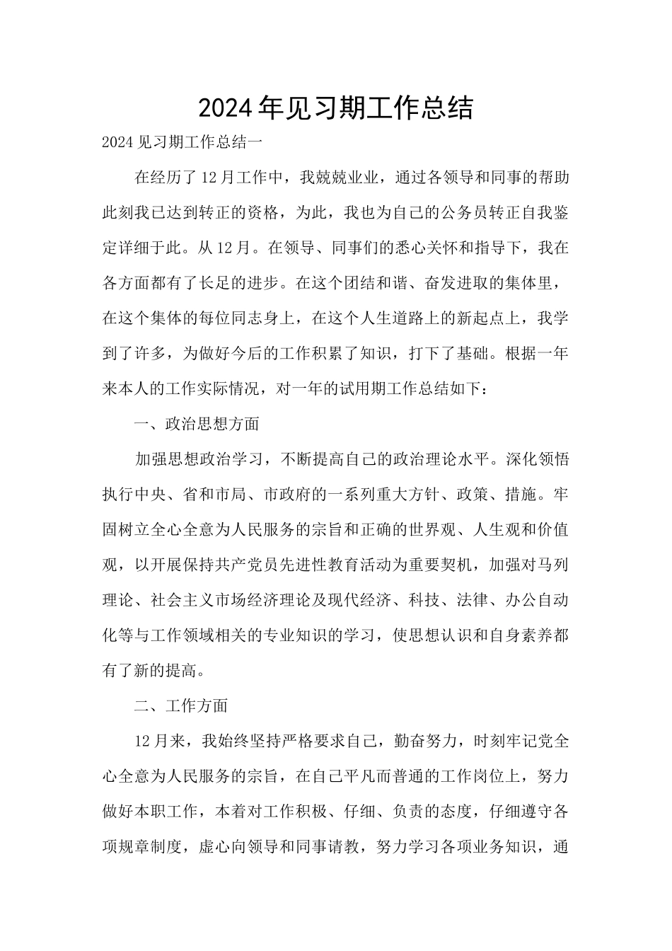 2024年见习期工作总结_第1页