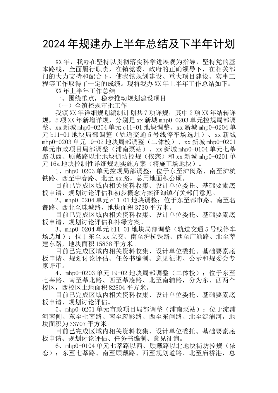 2024年规建办上半年总结及下半年计划_第1页