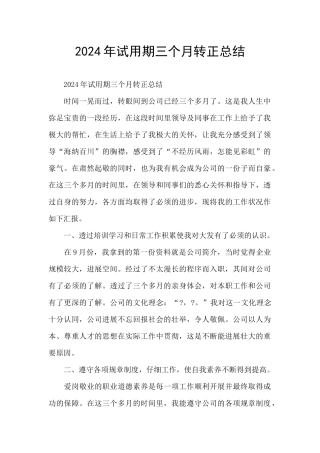 2024年试用期三个月转正总结
