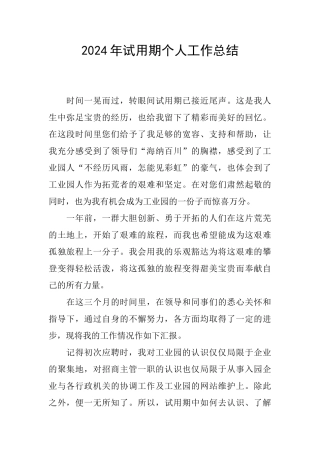 2024年试用期个人工作总结