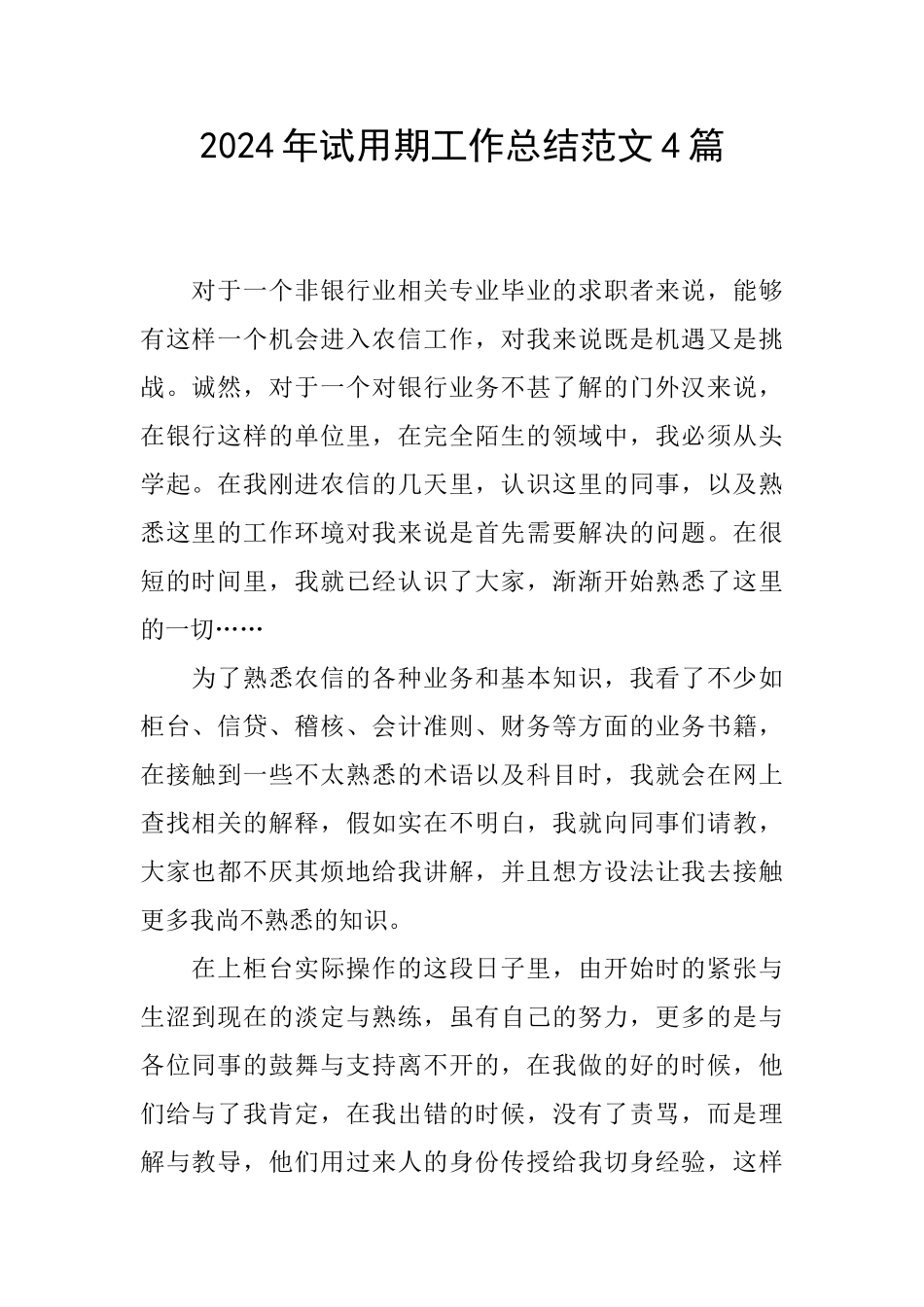 2024年试用期工作总结范文4篇_第1页