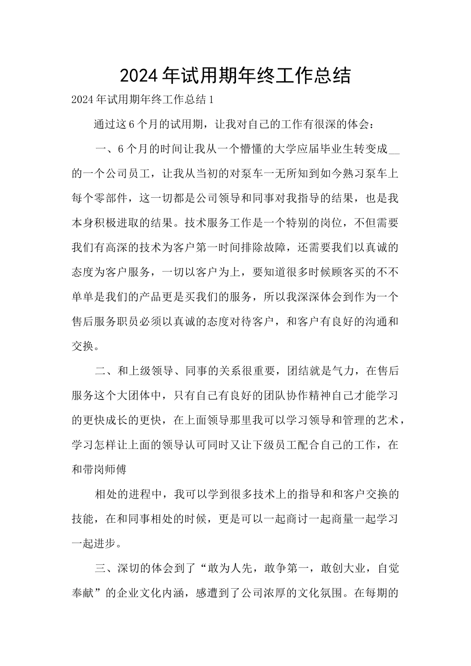 2024年试用期年终工作总结_第1页