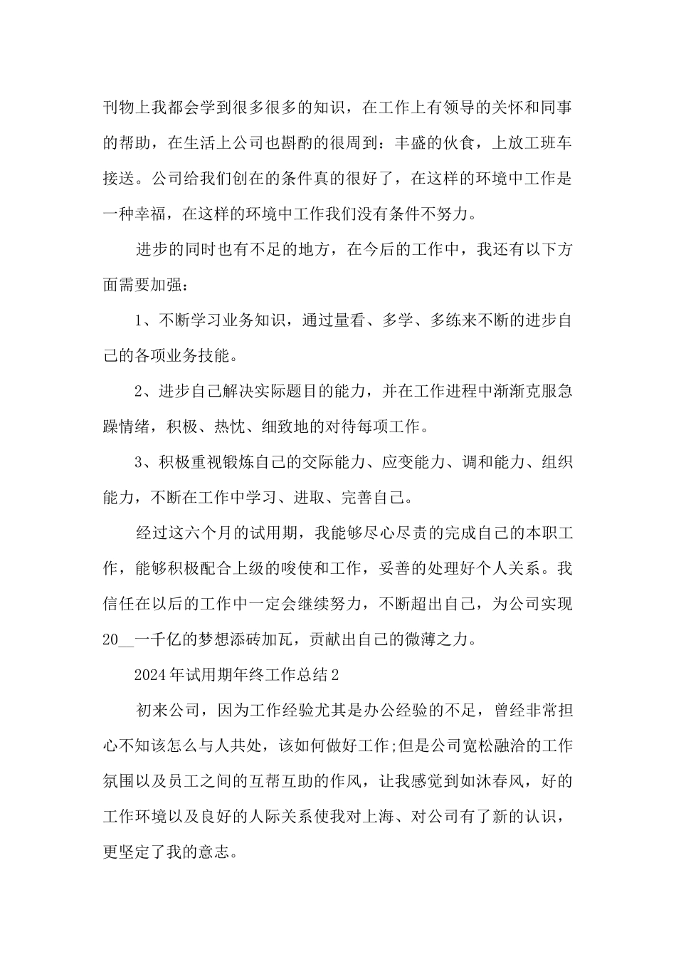 2024年试用期年终工作总结_第2页