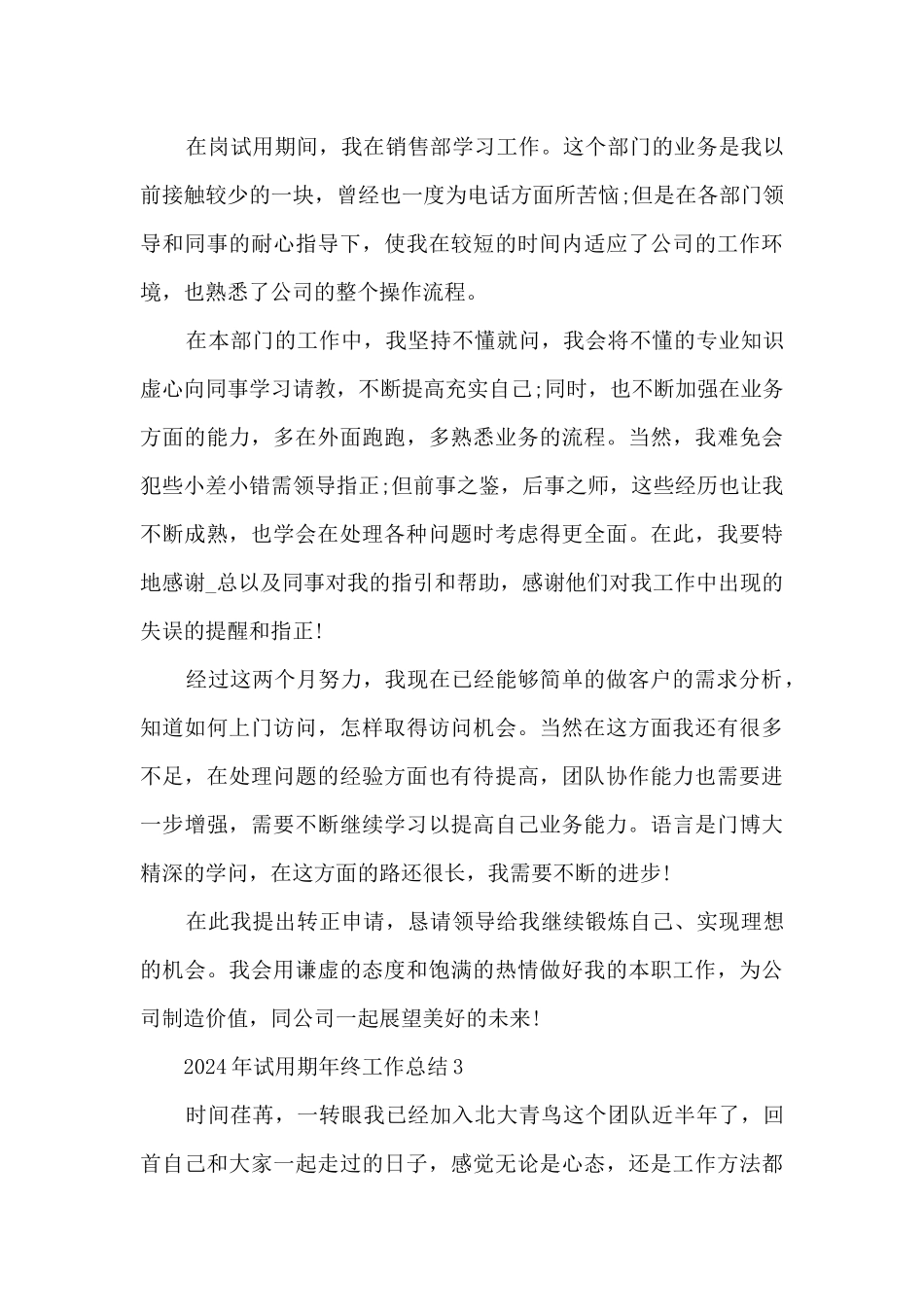 2024年试用期年终工作总结_第3页