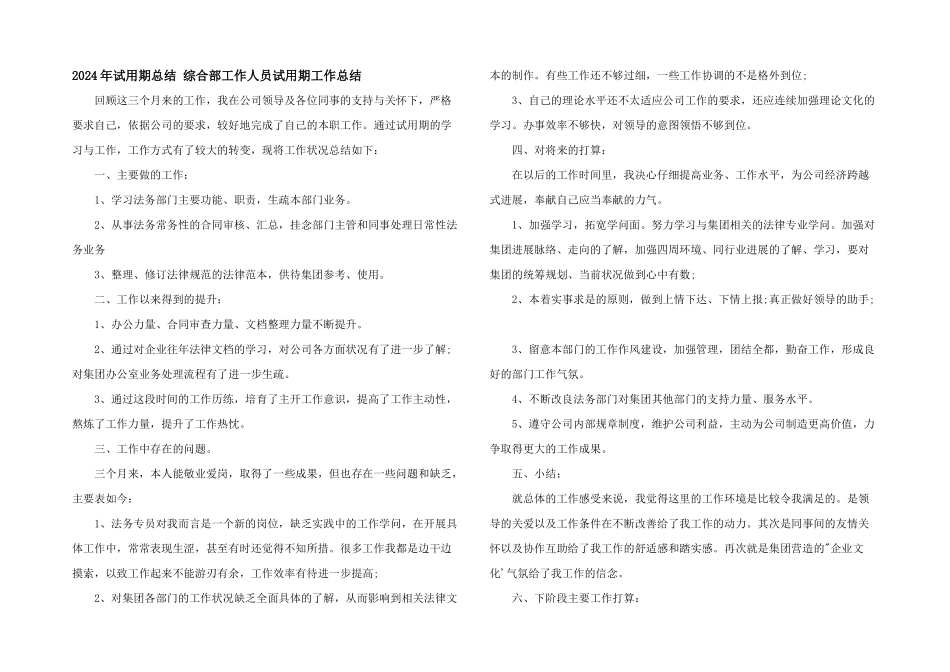 2024年试用期总结_第1页