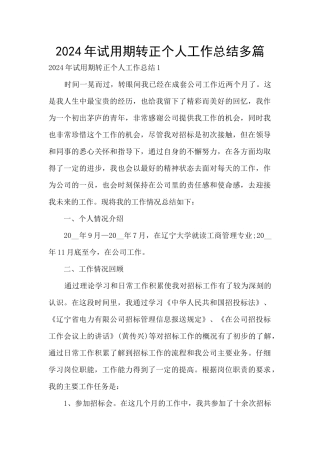 2024年试用期转正个人工作总结多篇