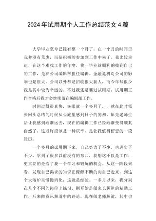 2024年试用期个人工作总结范文4篇