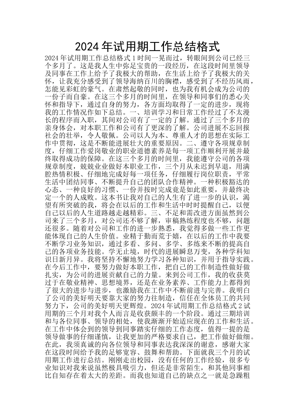 2024年试用期工作总结格式_第1页