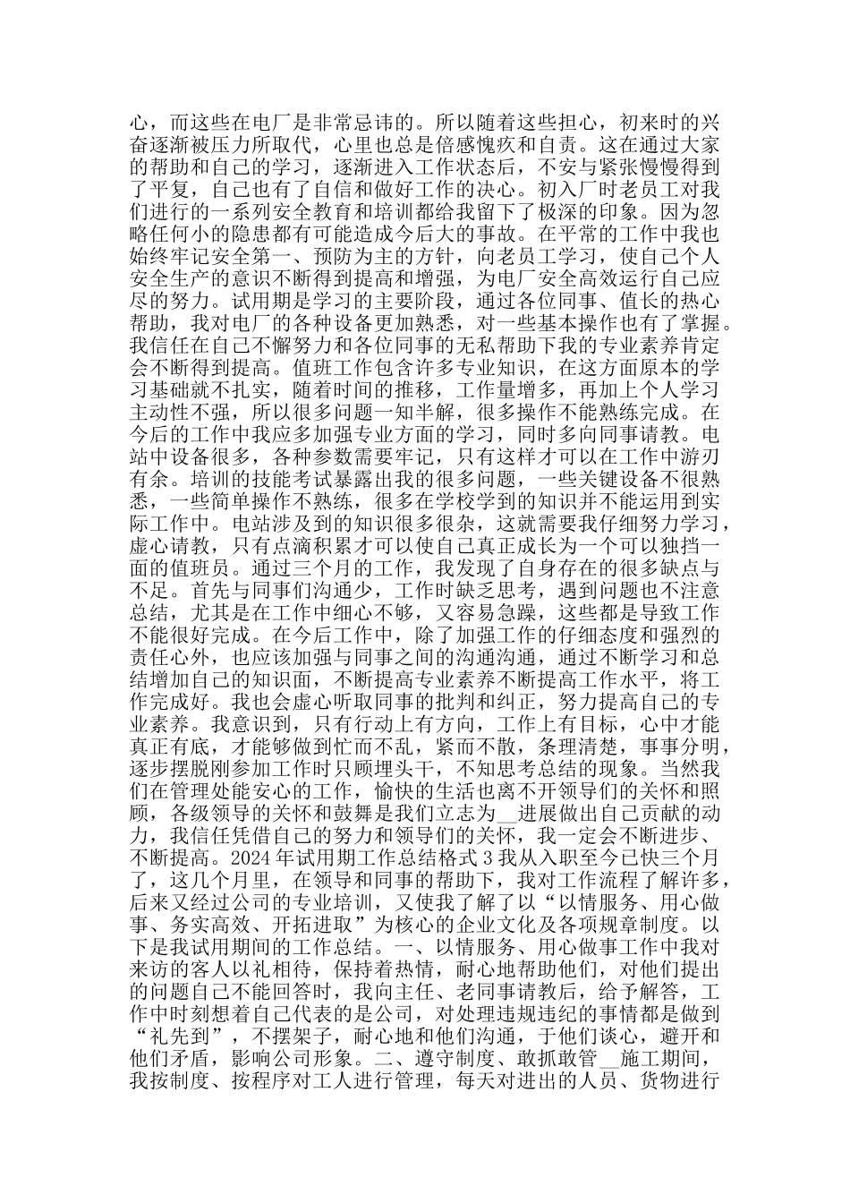 2024年试用期工作总结格式_第2页