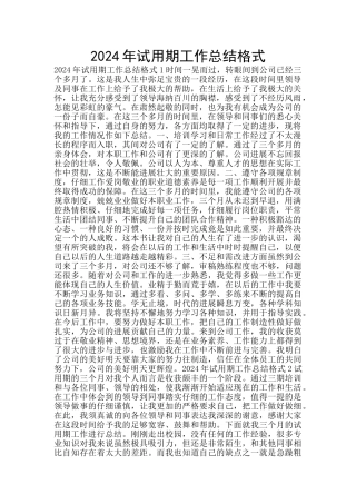 2024年试用期工作总结格式