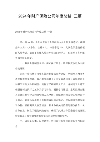 2024年财产保险公司年度总结
