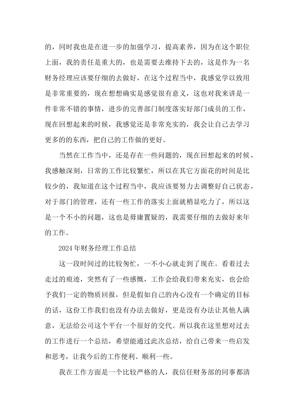 2024年财务经理工作总结_第2页