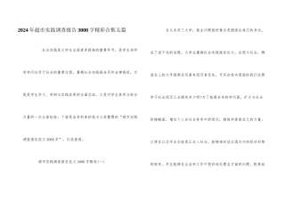 2024年超市实践调查报告3000字精彩合集五篇