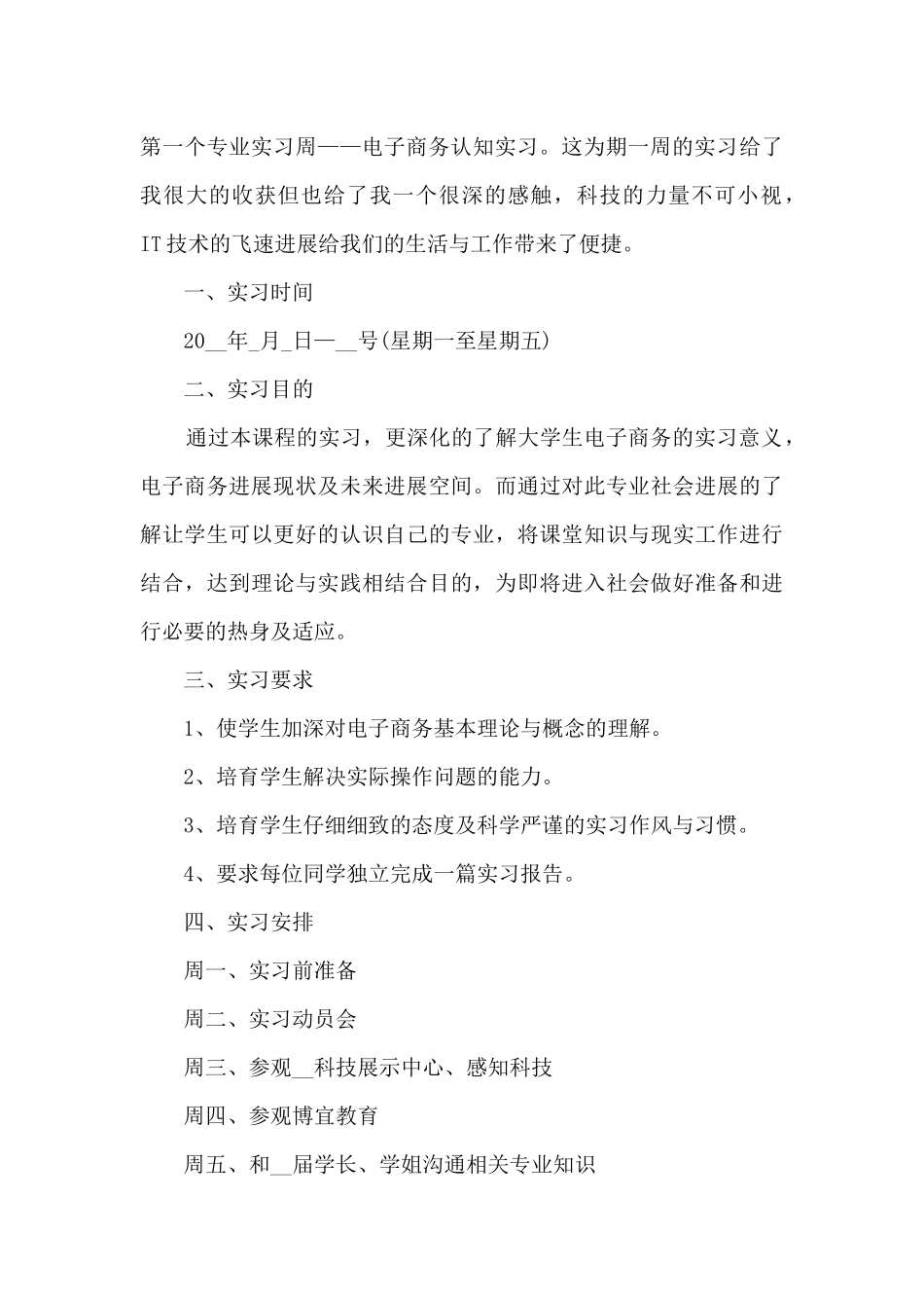 2024年跨境电商实习报告模板5篇_第3页