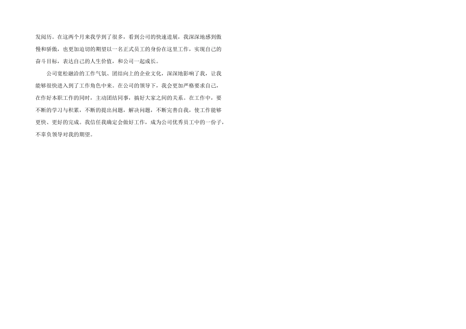 2024年软件工程师转正述职报告申请_第2页