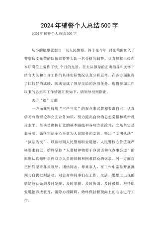 2024年辅警个人总结500字