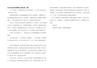 2024年追求忘我感悟