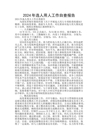 2024年选人用人工作自查报告