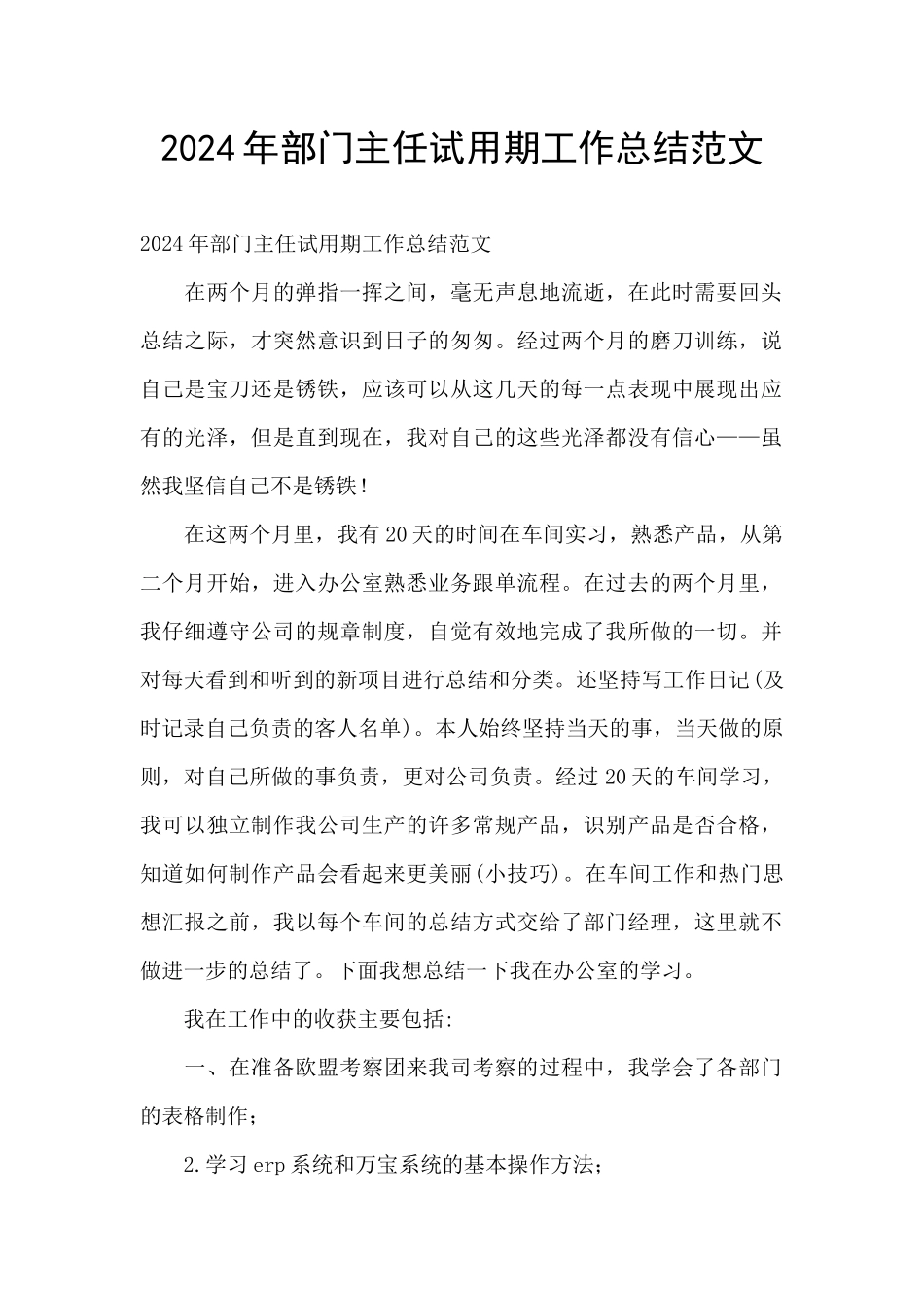 2024年部门主任试用期工作总结范文_第1页