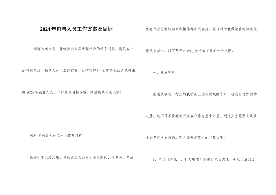 2024年销售人员工作计划及目标_第1页
