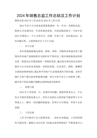 2024年销售总监工作总结及工作计划