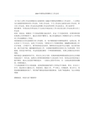 2024年销售试用期转正工作总结